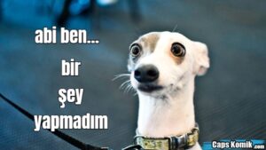 abi ben… bir şey yapmadım